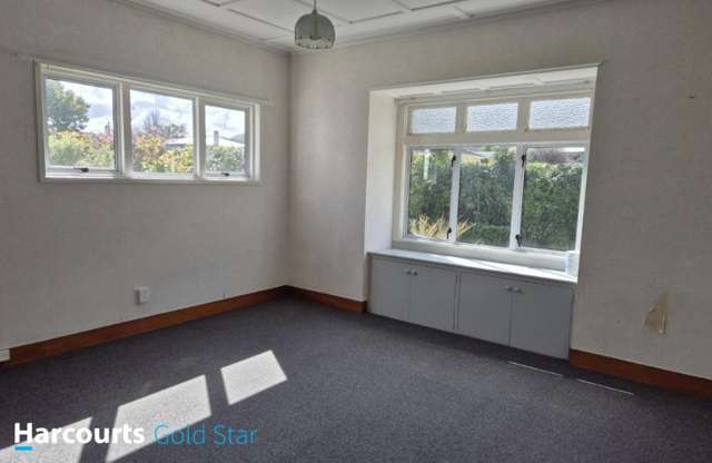 53 Centennial Avenue Te Aroha_1