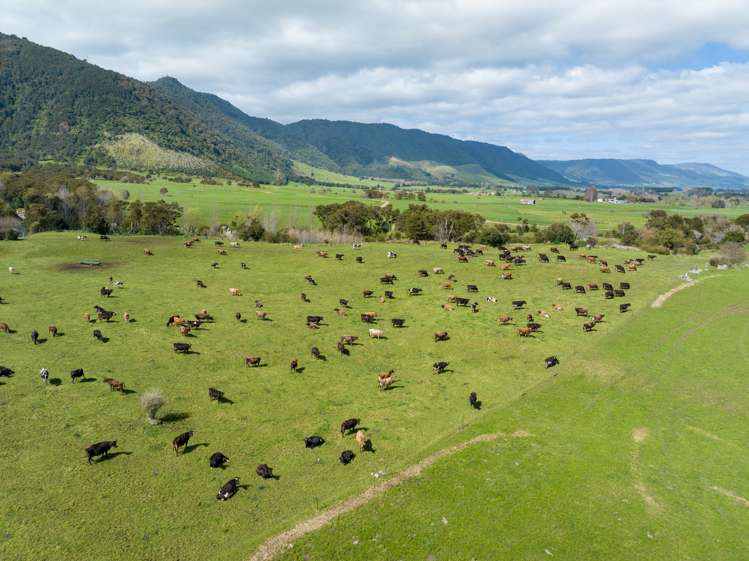 2044 Old Te Aroha Road Gordon_13