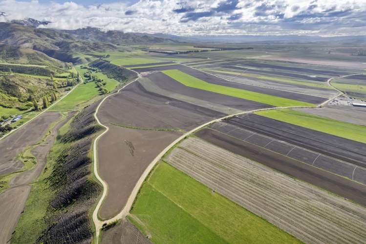 Waikerikeri Valley Road Alexandra_4