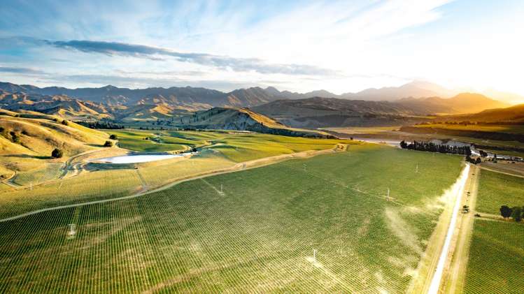 413 Upton Downs Road Seddon_4