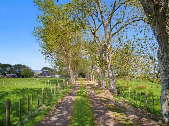 138 Harris Road Waiuku_2
