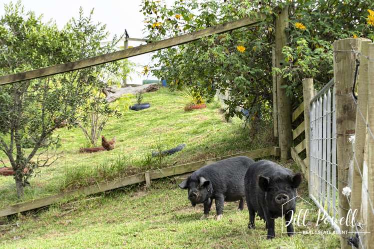 611 Bickerstaffe Road Maungaturoto_36