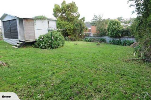 101 Selwyn Crescent Forrest Hill_2