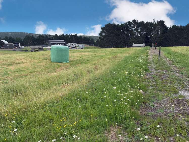 59 Kai Iwi Lakes Road_1