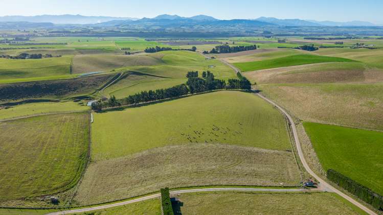 160 Esler Road Pleasant Point_12