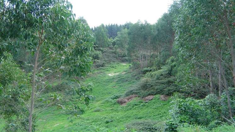 891 Pongakawa Valley Road Okere Falls_7