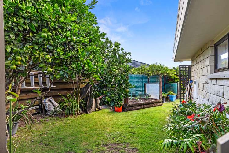26b Hibiscus Avenue Mount Maunganui_20