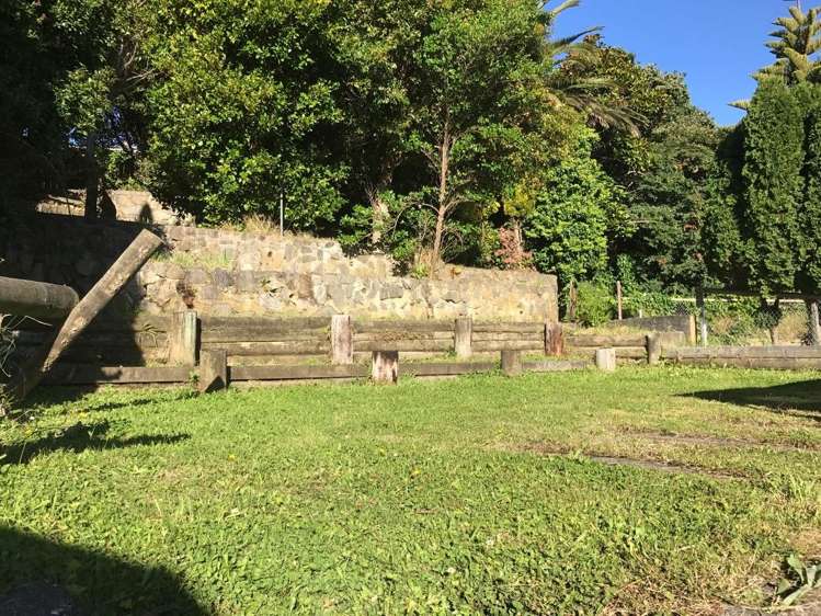 141 Champion Street Cannons Creek_16