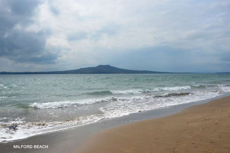 3/15 Omana Road Milford_25