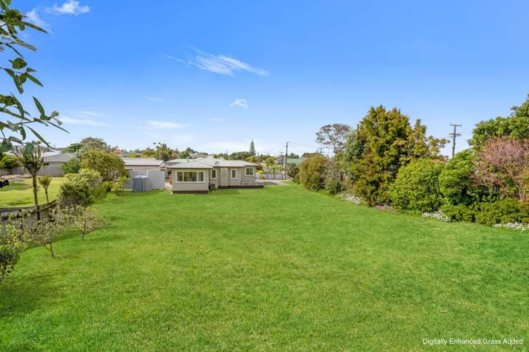19 Plunket Street Dargaville_28