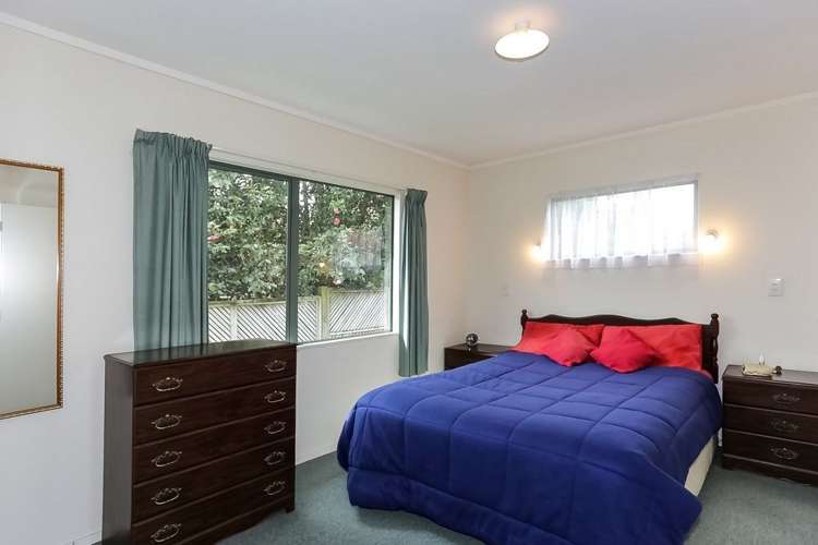 88 Queen Street Te Puke_8