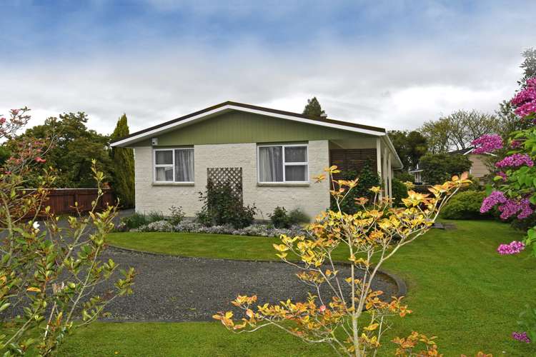 22 Jellicoe Street Greytown_15