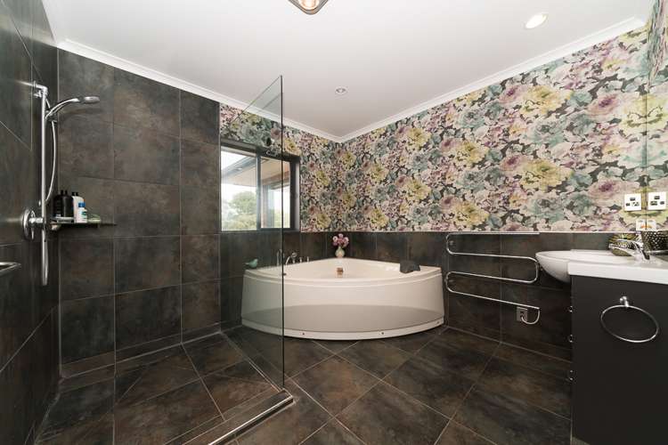 44a Alfred Street Roslyn_15