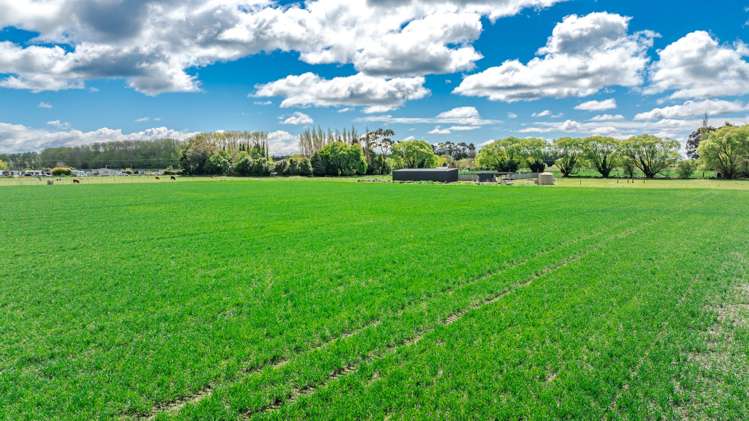 8 Barretts Road Seadown_15