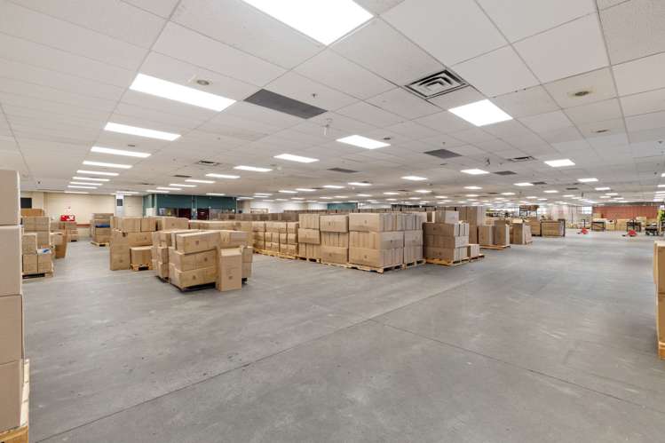 9 Matthews Avenue Takaro_9