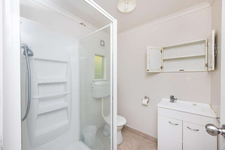 27 Newbury Street Awapuni_12