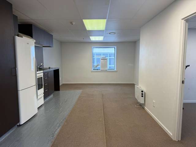 5E/15 Dixon Street Te Aro_3