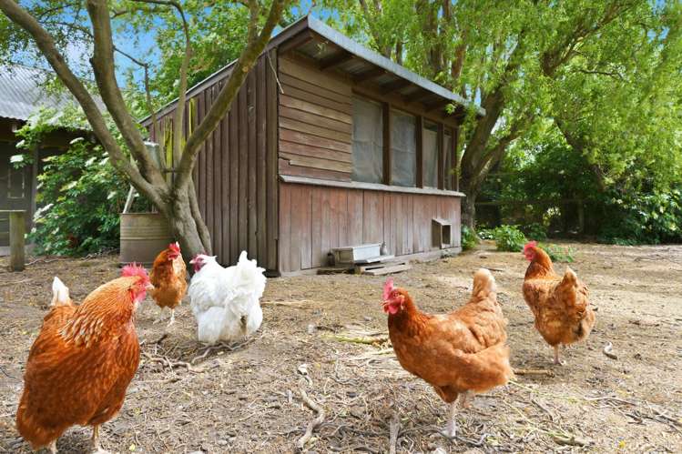 4 Mandalea Road Ohoka_42