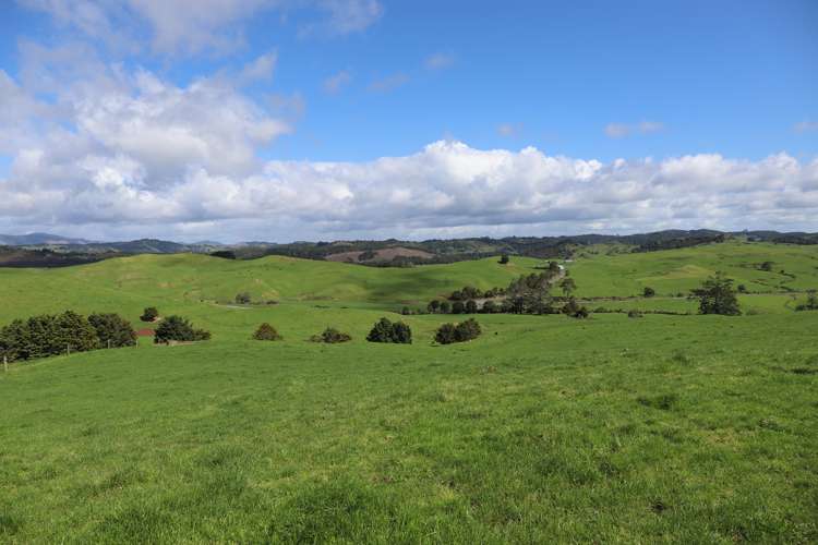 Inkster Road Maromaku_12