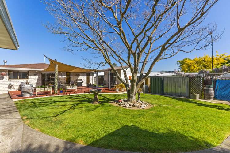 217 Weld Street Witherlea_17