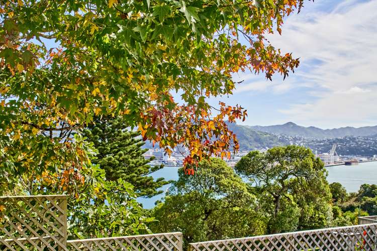 68 The Crescent Roseneath_21