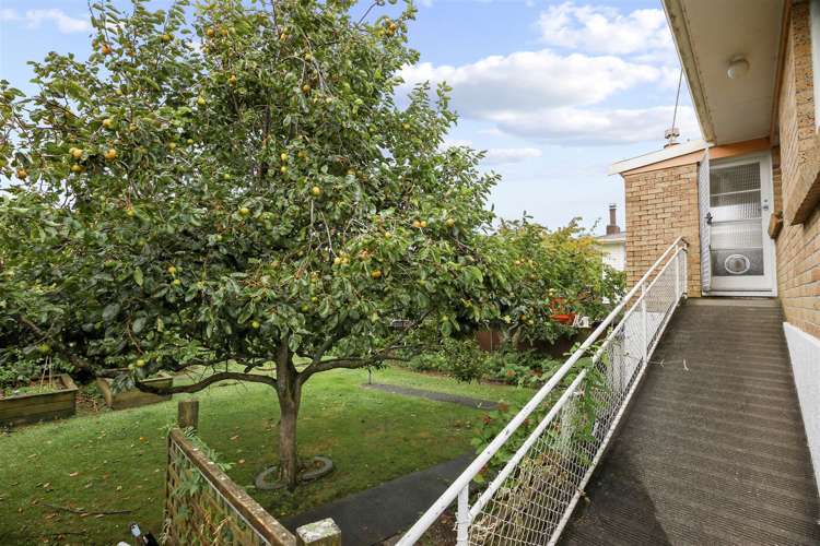 205 Tony Avenue Thames_19