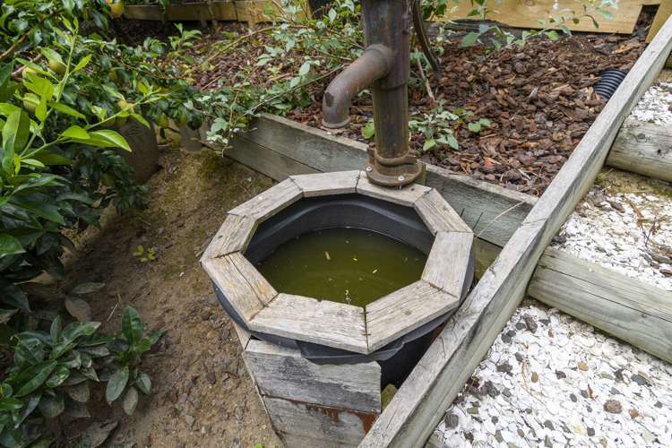 9 Te Otinga Place Pyes Pa_16