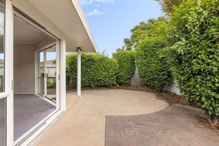 7 Verbena Glen Mount Maunganui_3