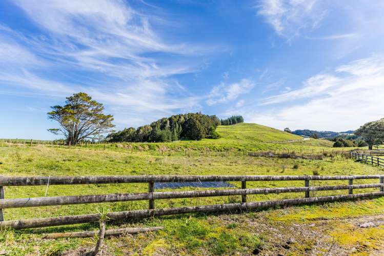 110 Whakapirau Road Maungaturoto_19