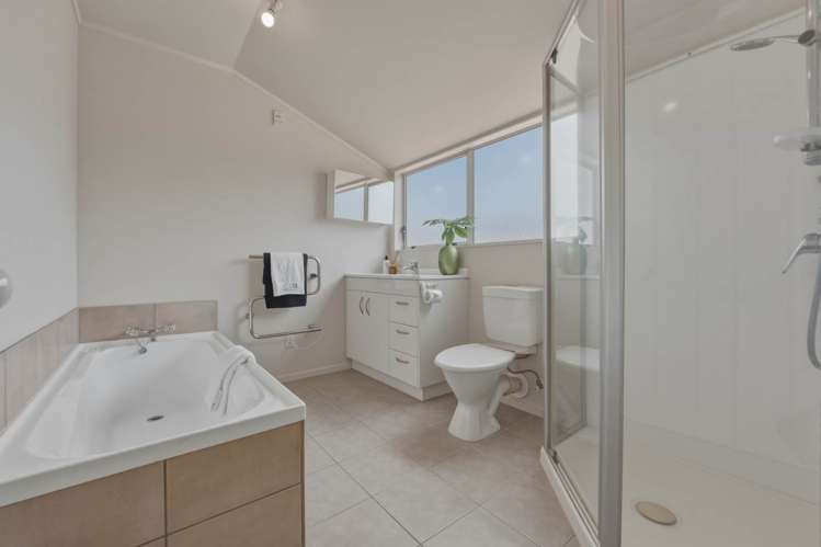 239 Campbell Road Greenlane_21