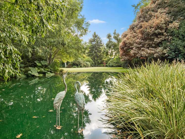 371 Racecourse Road Allenton_6