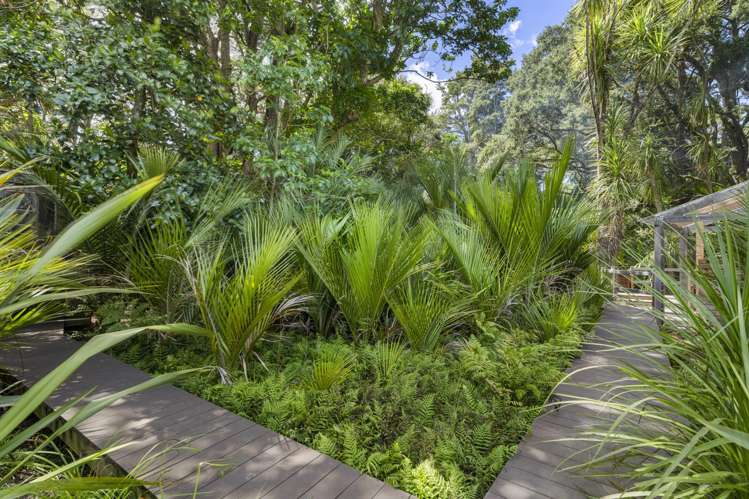 37 Ward Road Matakana_17