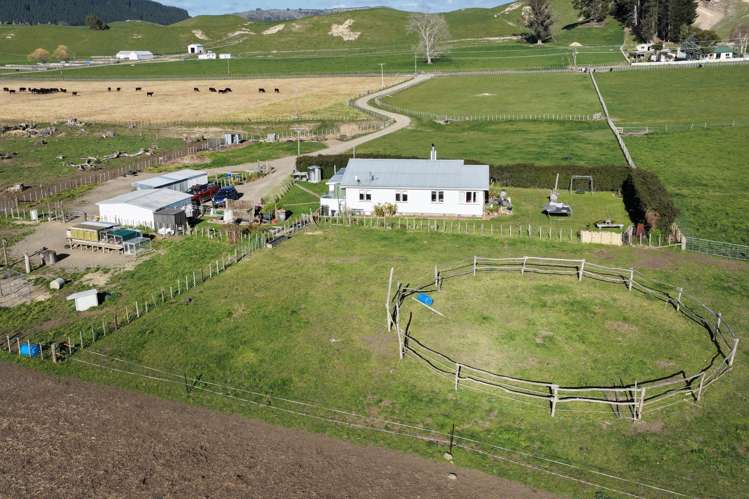 2152 Puketitiri Road Central Hawkes Bay Coastal_19