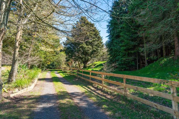 3/67 Forest Road Oruanui_23