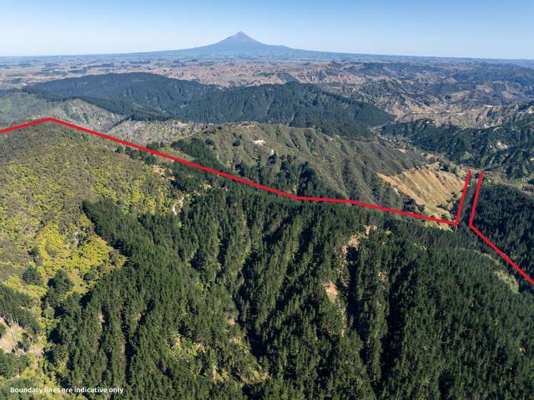 Tangahoe Valley Road_0