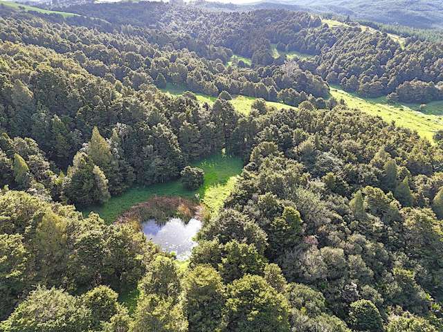 Ounuwhao Road Dargaville_4