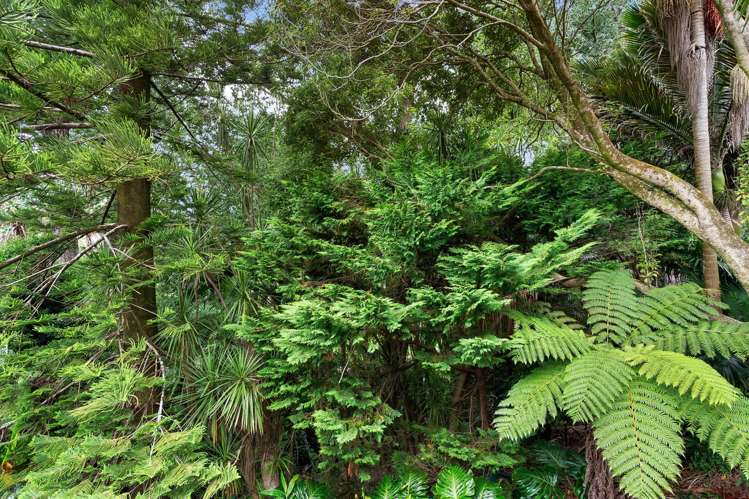 2/39 St Georges Bay Road Parnell_23