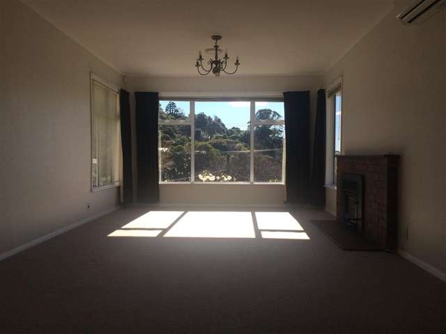 41 Larsen Cresent 11538_2