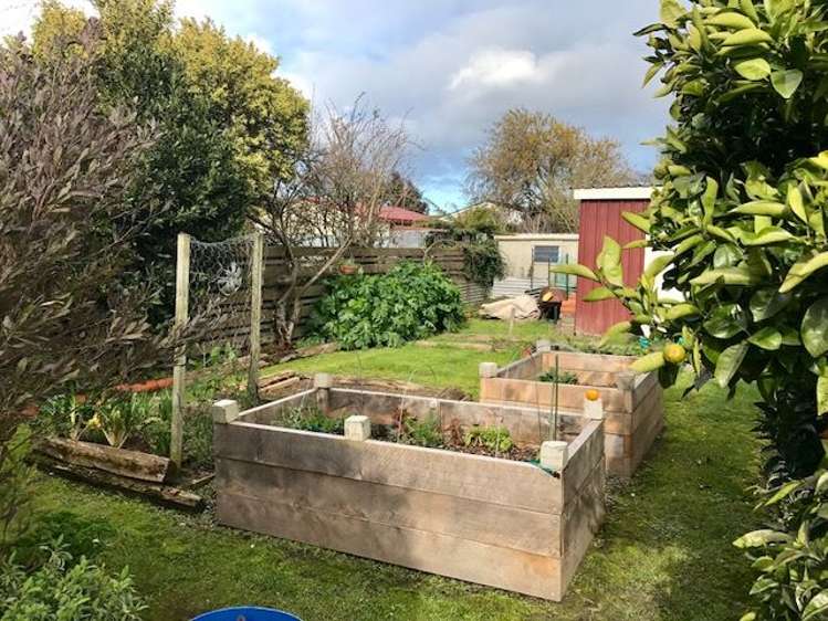 81 Dublin Street Martinborough_6