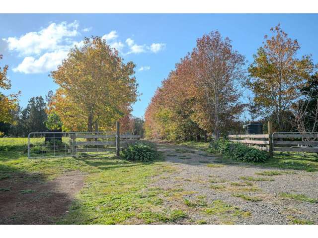 Lot 2/390 Kapiro Road Kerikeri_4