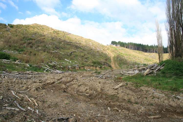0n Tangahoe Valley Road_0