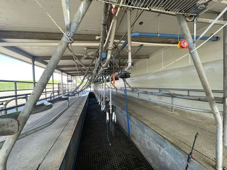 27 Mcrae Road Otorohanga_21