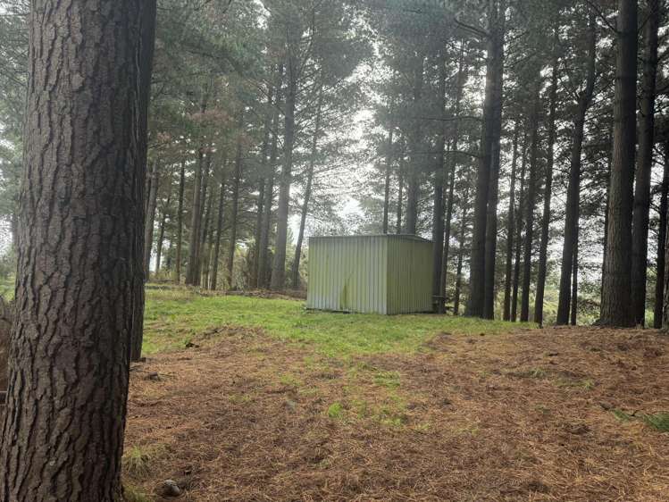 1 Bells Bush Road and Sinclair Road Waihola_3