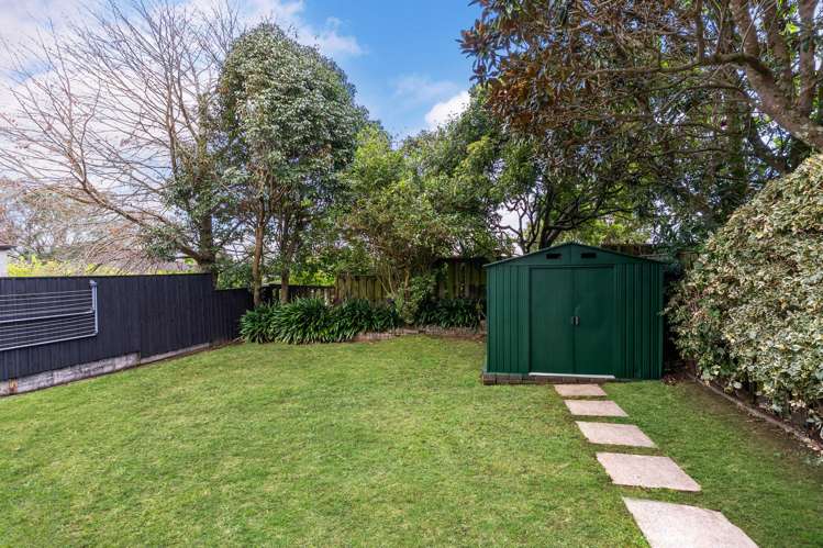11A August Place Greenlane_7
