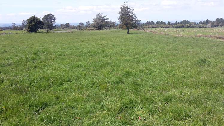 503 York Road Midhirst_11