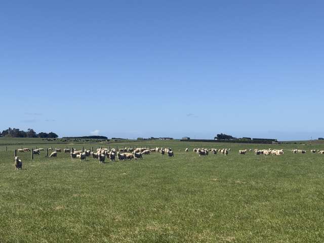 166 Brand Road Kennington_4