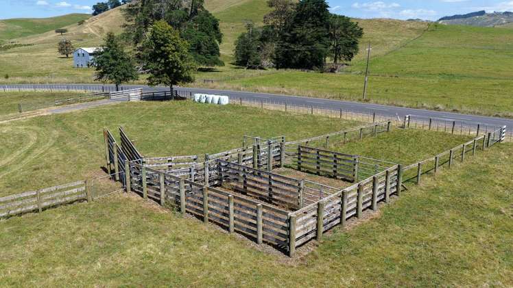 880 Kopuku Road Maramarua_1