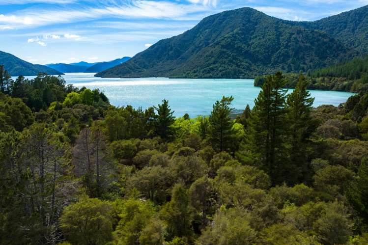 Lot 1 Nydia Bay Marlborough Sounds_5