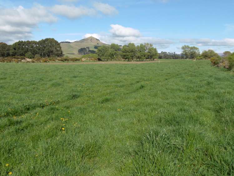 5326 Hampden-Palmerston Road Palmerston_12