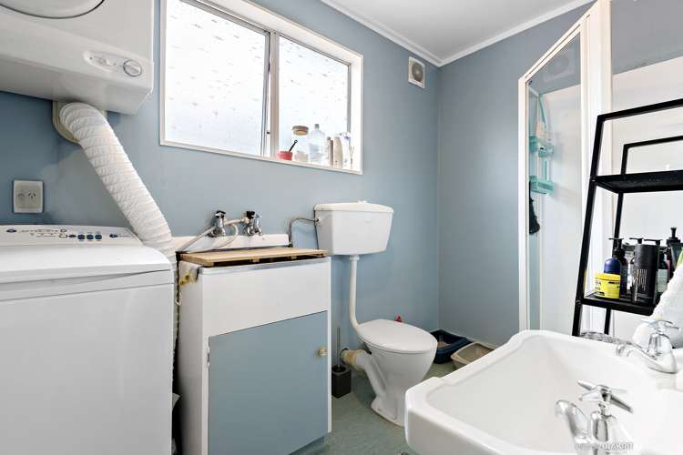 45 Norway Street Aro Valley_5